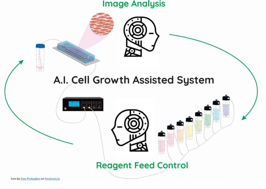Artificial Intelligence Microfluidics for controlled cell culture