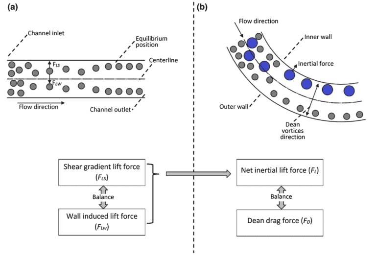 Cell-sorting-Pack Dean