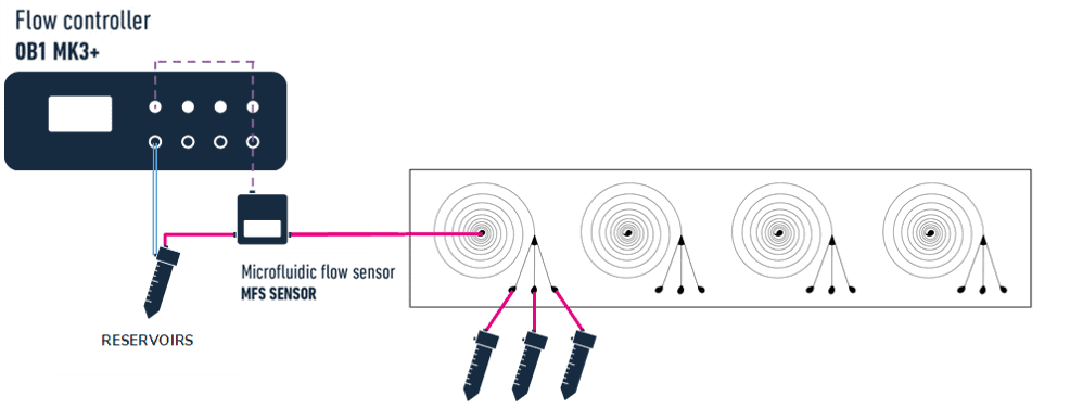 Cell sorting setup