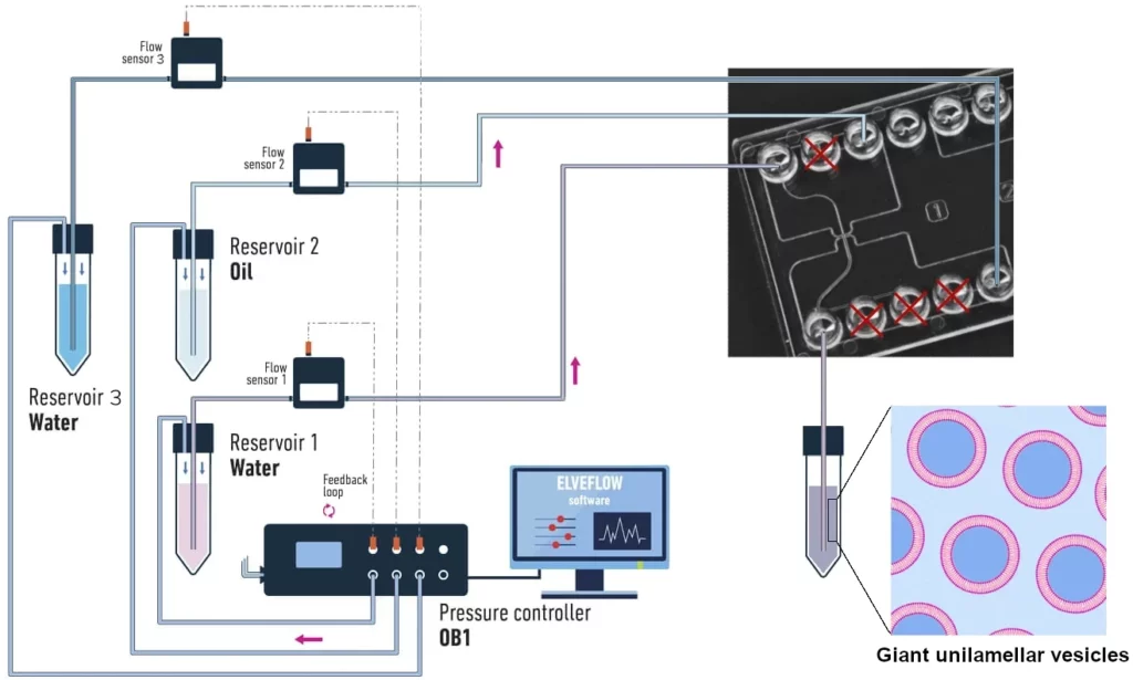 GUV pack microfluidic setup