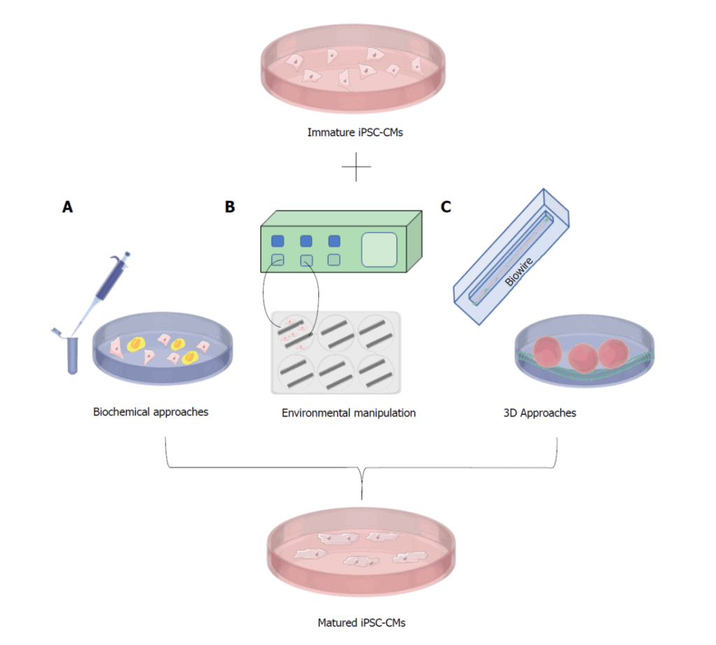 In-vitro fertilization microfluidics