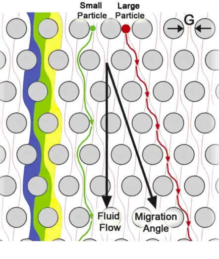 Label free Microfluidic Cell Separation and Sorting