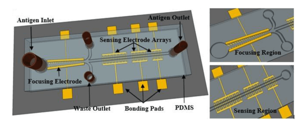 Microfluidic calibration biosensor chip example