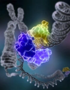 Molecular machines for DNA repair