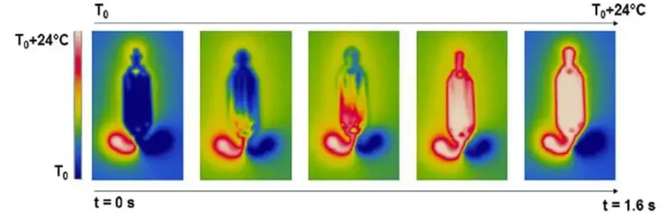 Temperature profile of Fastgene microfluidic chip