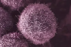 cancer cell mutations