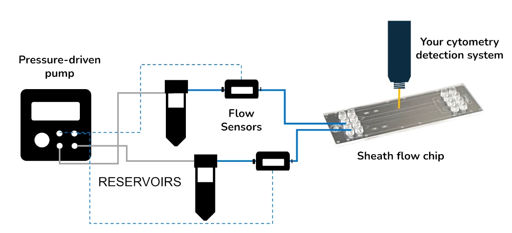 flow cytometry schematics