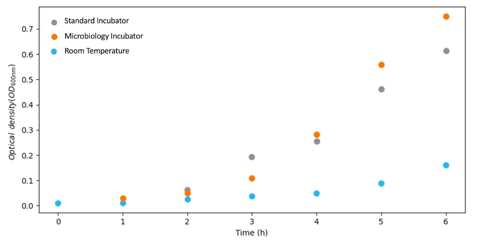 microbiology incubator results