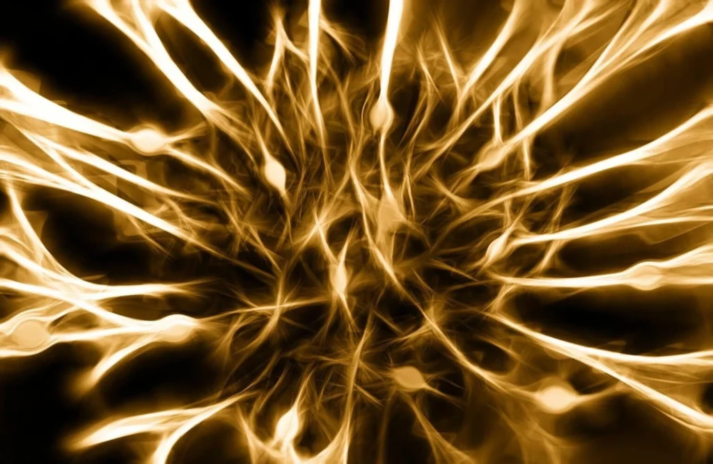 nerves microfluidics neurotransmitters