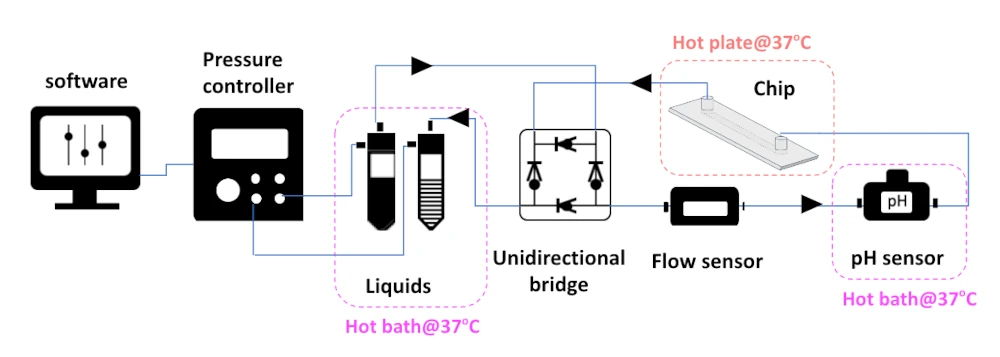 new pH CO2 independent setup schematics