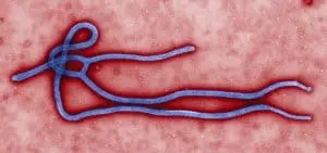 pcr-on-chip Ebola-virus