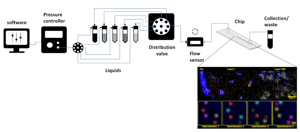 spatial transcriptomics schematics