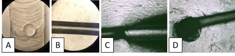 circular channels microscopy