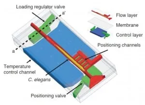 microfluidic chip parts