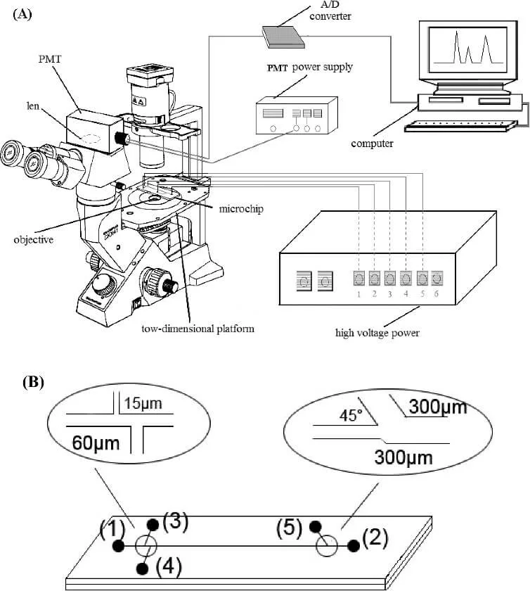 Microchip electrophoresis Optical Detection
