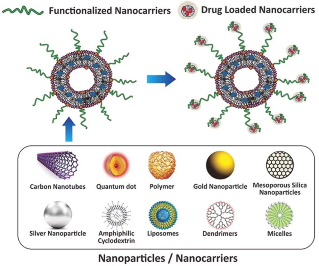 Multifunctional nanocarriers for nonlinear microscopy
