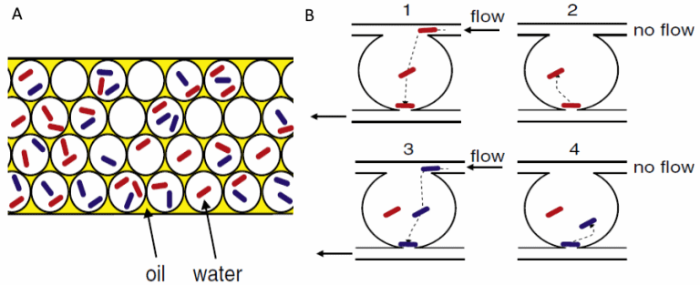 Microfluidic approaches for direct interaction of multiple elements