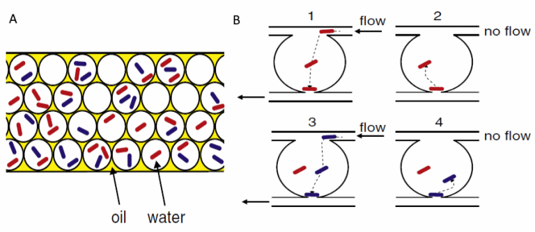 Microfluidic approaches for direct interaction of multiple elements