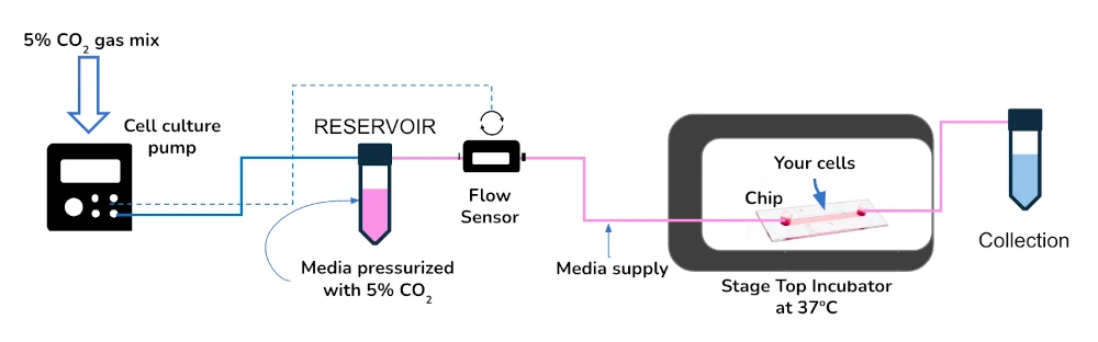 cell culture pump oxygen setup schematics