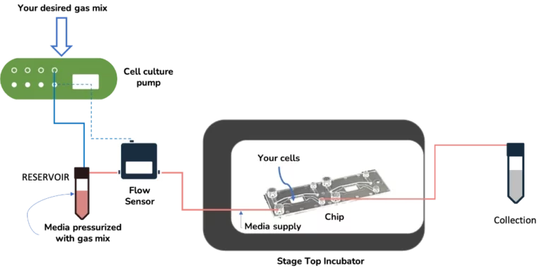 cell culture pump setup schematics