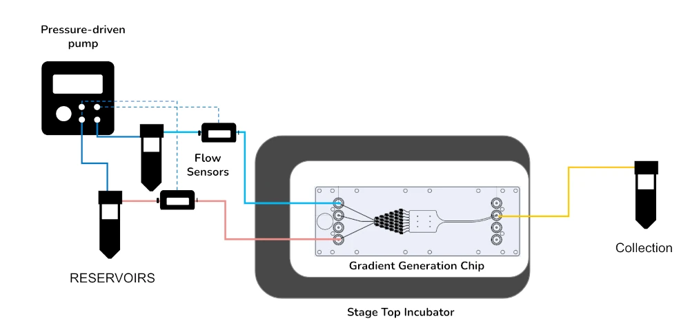 chemotaxis pack schematics mic