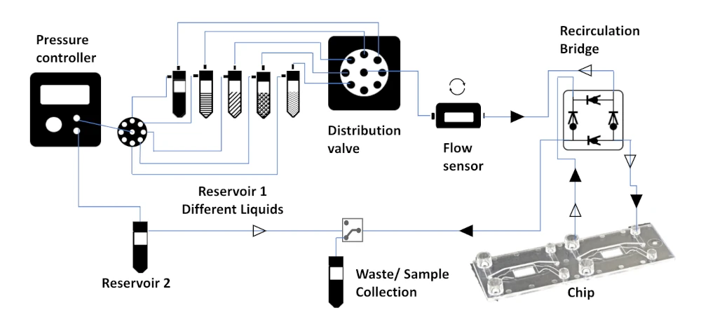 gut on chip schematics