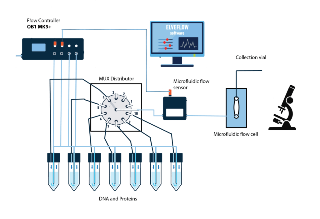 microfluidic setup for colocalization studies of DNA interaction