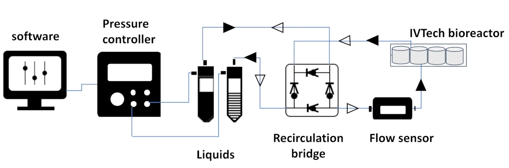 neural culture under flow schematics with IVTech bioreactor