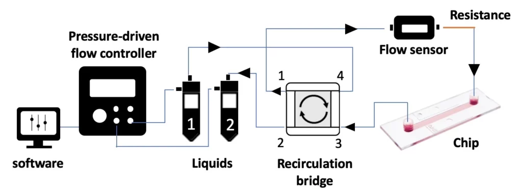 check valves recirculation bridge setup