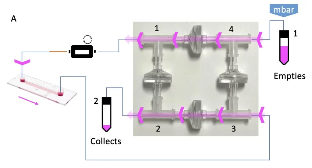 check valves recirculation bridge direction from reservoir 1 to reservoir 2