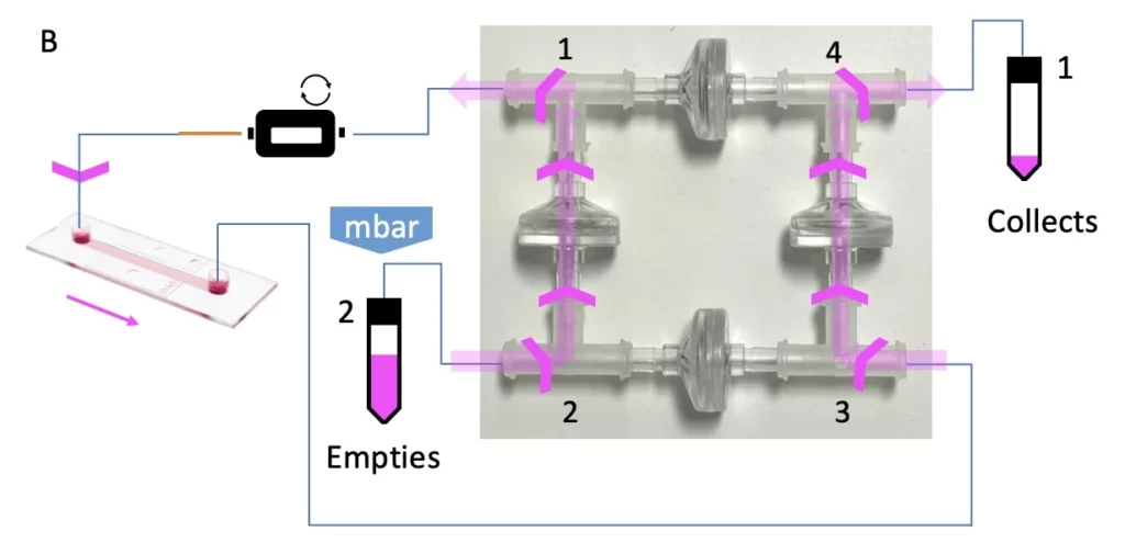 check valves recirculation bridge direction from reservoir 2 to reservoir 1