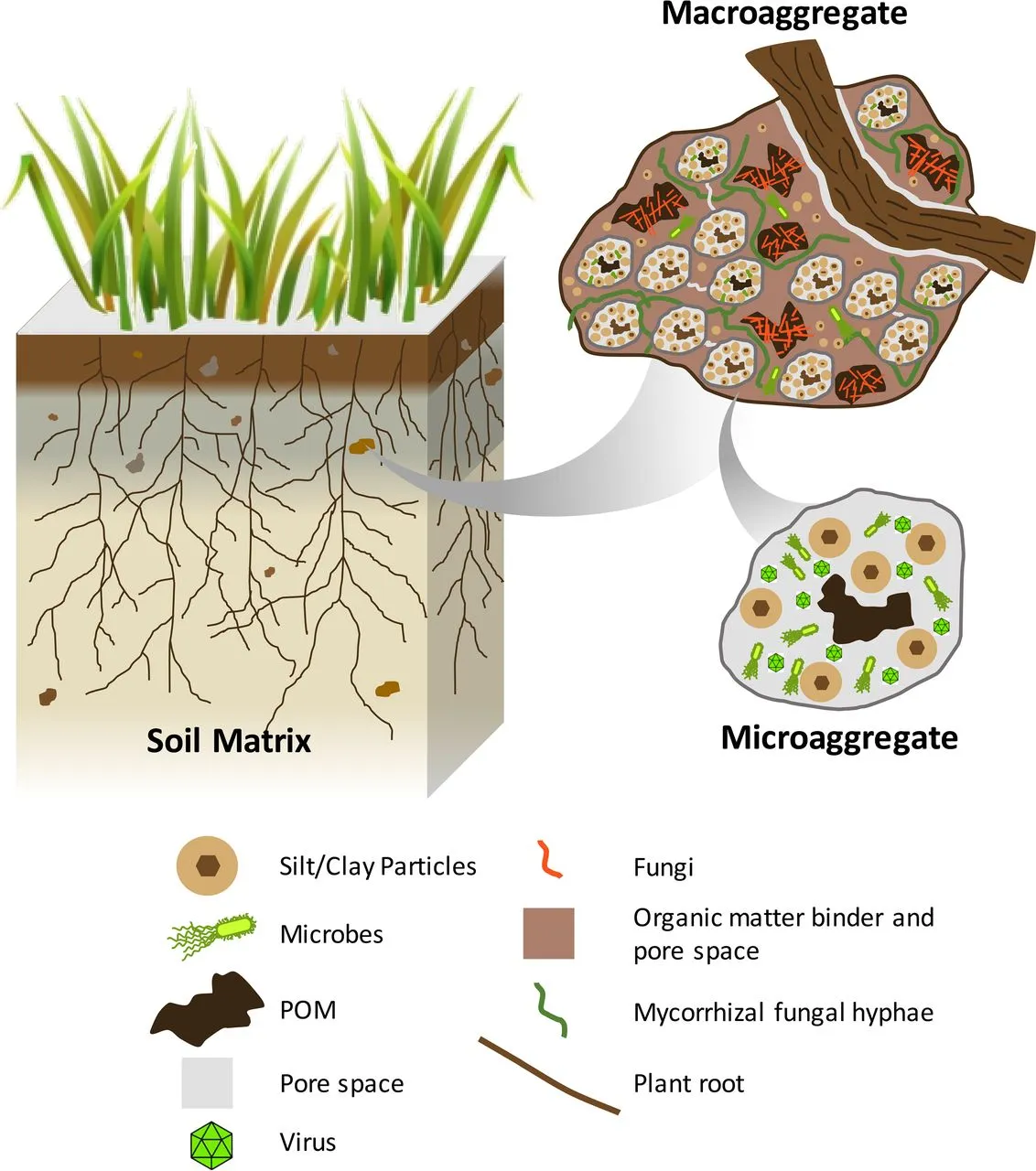 soil on chip microbial commmunities