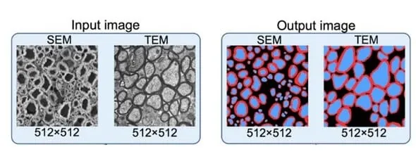 Image-analysis_Deep-Learning