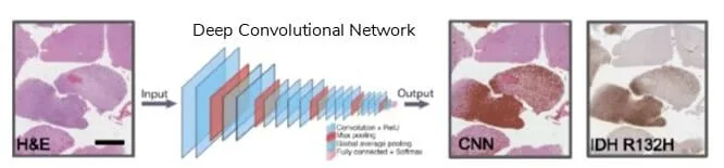 4-Automated-image-classification_Deep-Learning_Microfluidics_innovation center