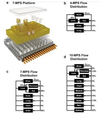 MPS_Deep-Learning