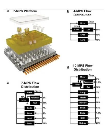 5-MPS_Deep-Learning_innovation centerMicrofluidics