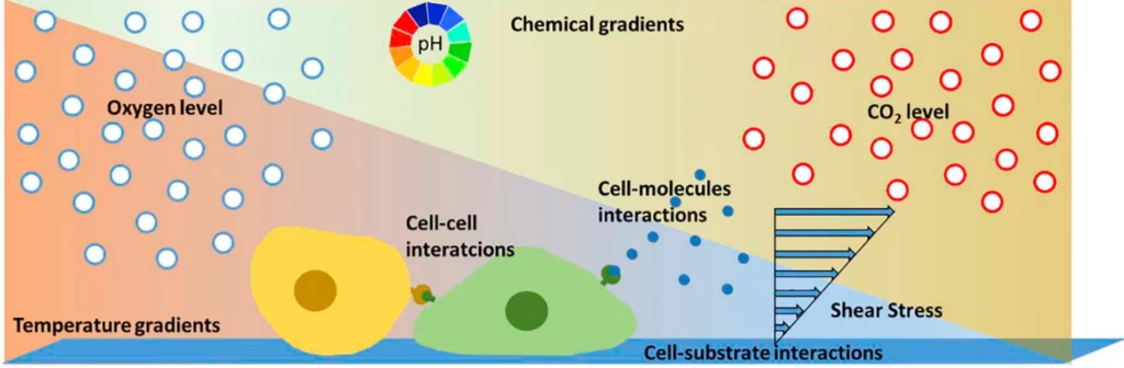 Microfluidic flow cell microenvironment