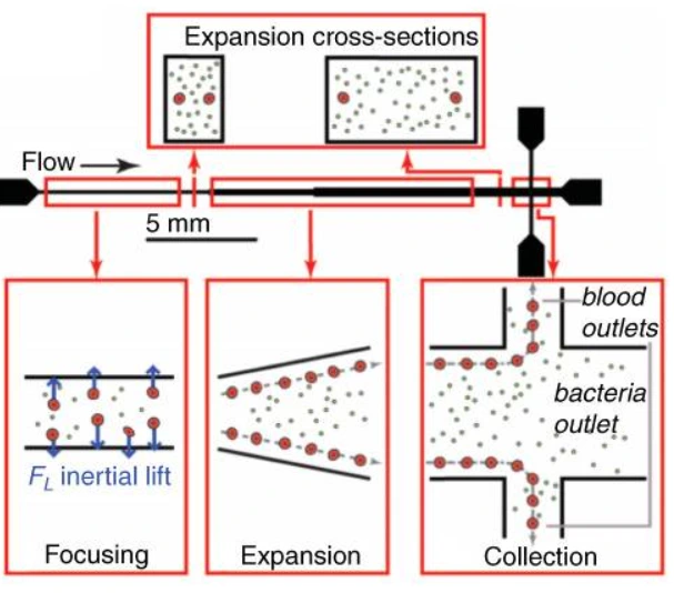 blood liquid-phase separation