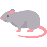 mouse organ-on-chip in-vitro in-vivo drug testing