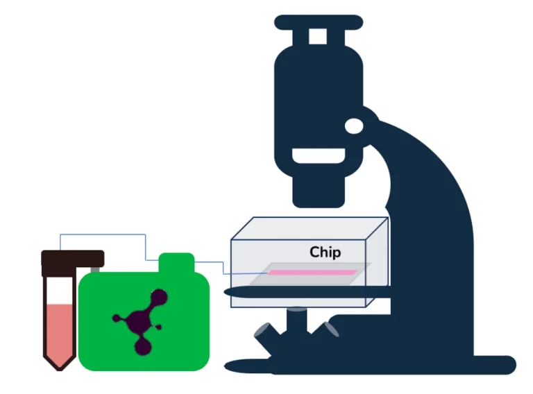 live cell imaging pack schematics