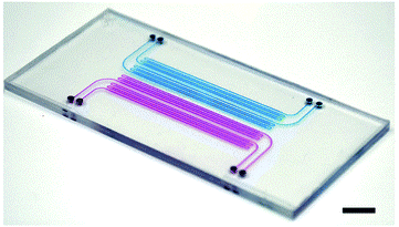 Polystyrene ps material microfluidic chip