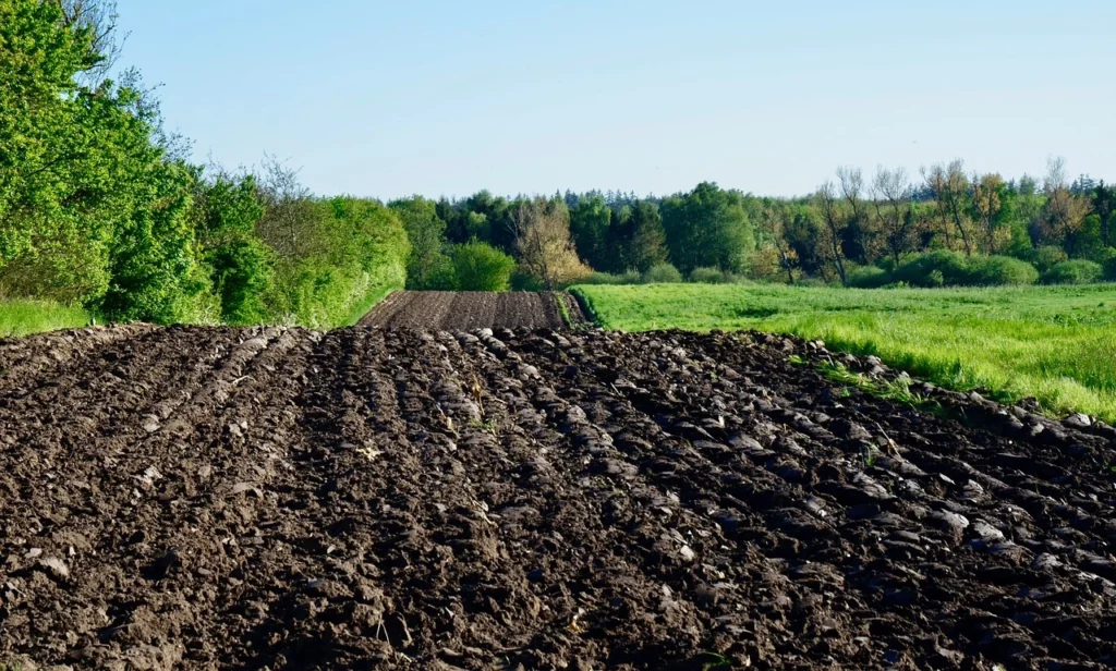 soil preservation methods