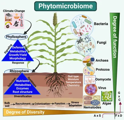 Plant microbiome_Mission Soil_Microfluidics Innovation Center_MIC_2