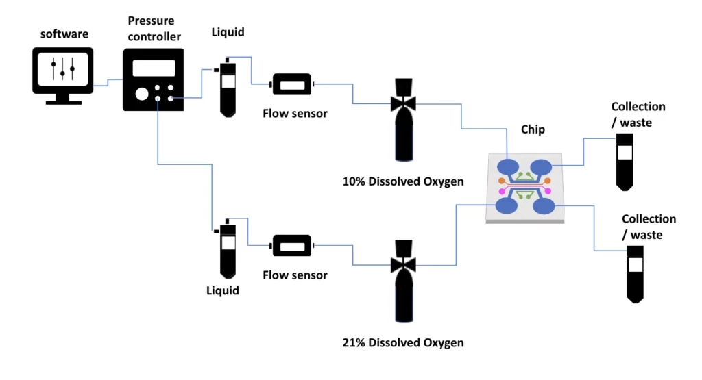 inline hypoxia chamber experiment setup 2