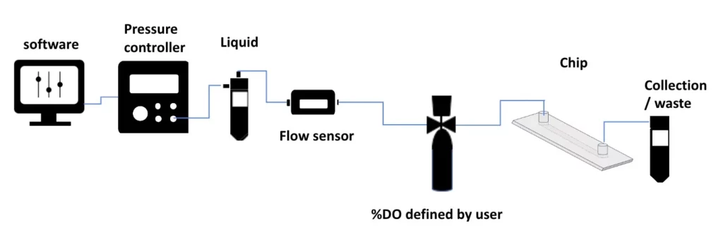 inline hypoxia chamber experiment setup