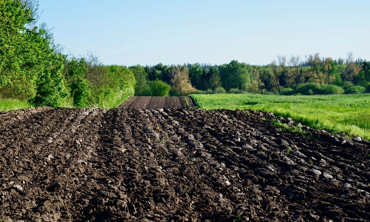 soil-on-chip