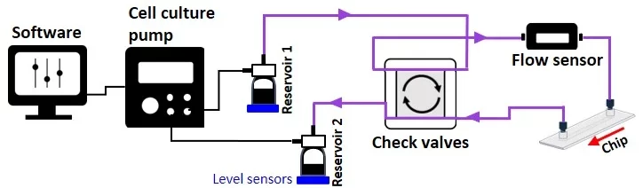 Unidirectional flow recirculation-setup check valves, level sensors and cell culture pump