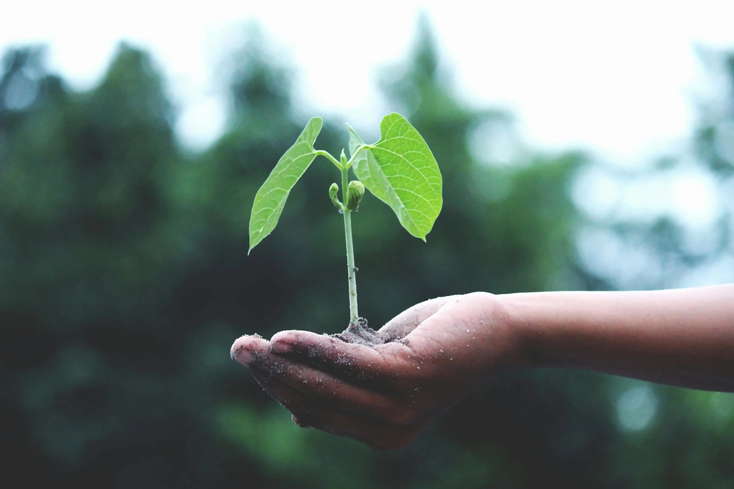 soil restoration microfluidic innovation center MIC partnership project collaboration