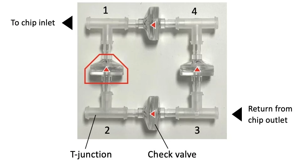 Unidirectional flow direction through check valves