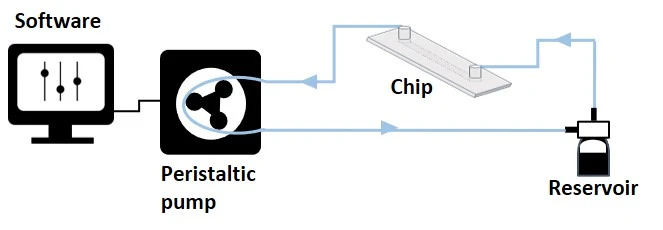 setup-peristaltic-pump